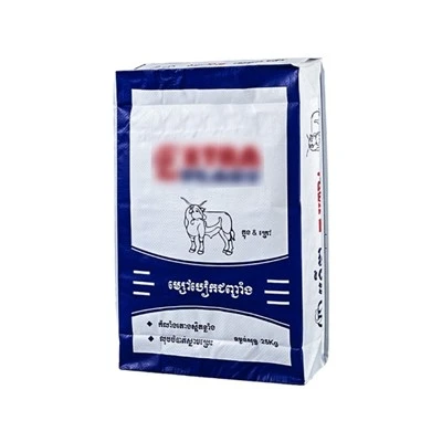 স্কয়ার বটম ভালভ পোর্ট পিপি বোনা ব্যাগ